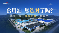 央视网走进晟麦工厂：揭秘从一滴好油到“营养用油生活”的解决方案